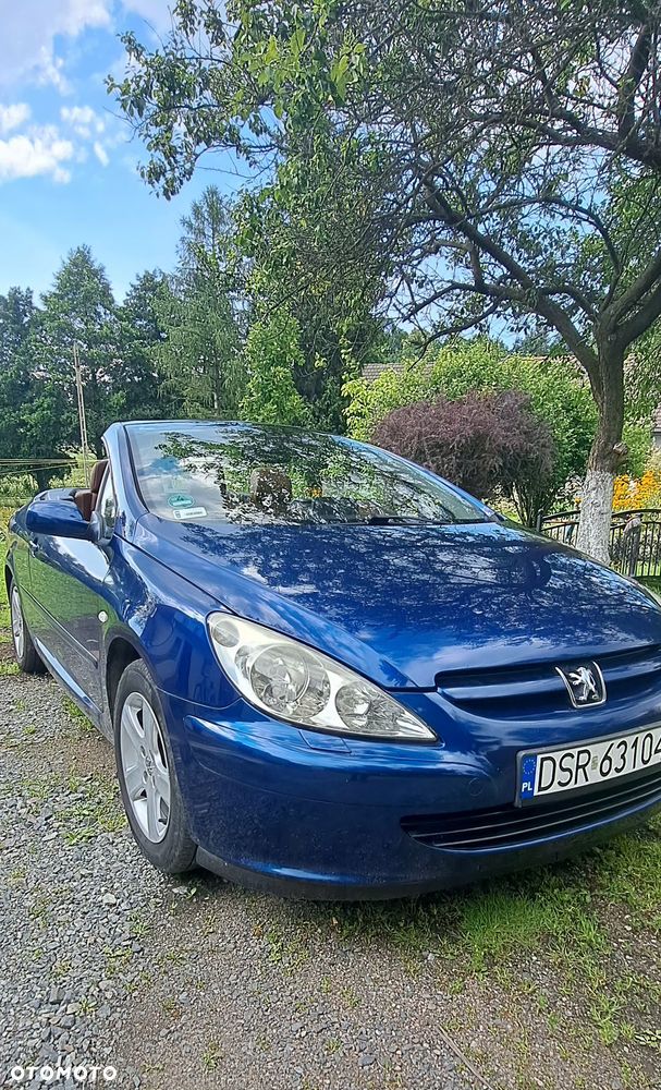 Peugeot 307 CC - 14