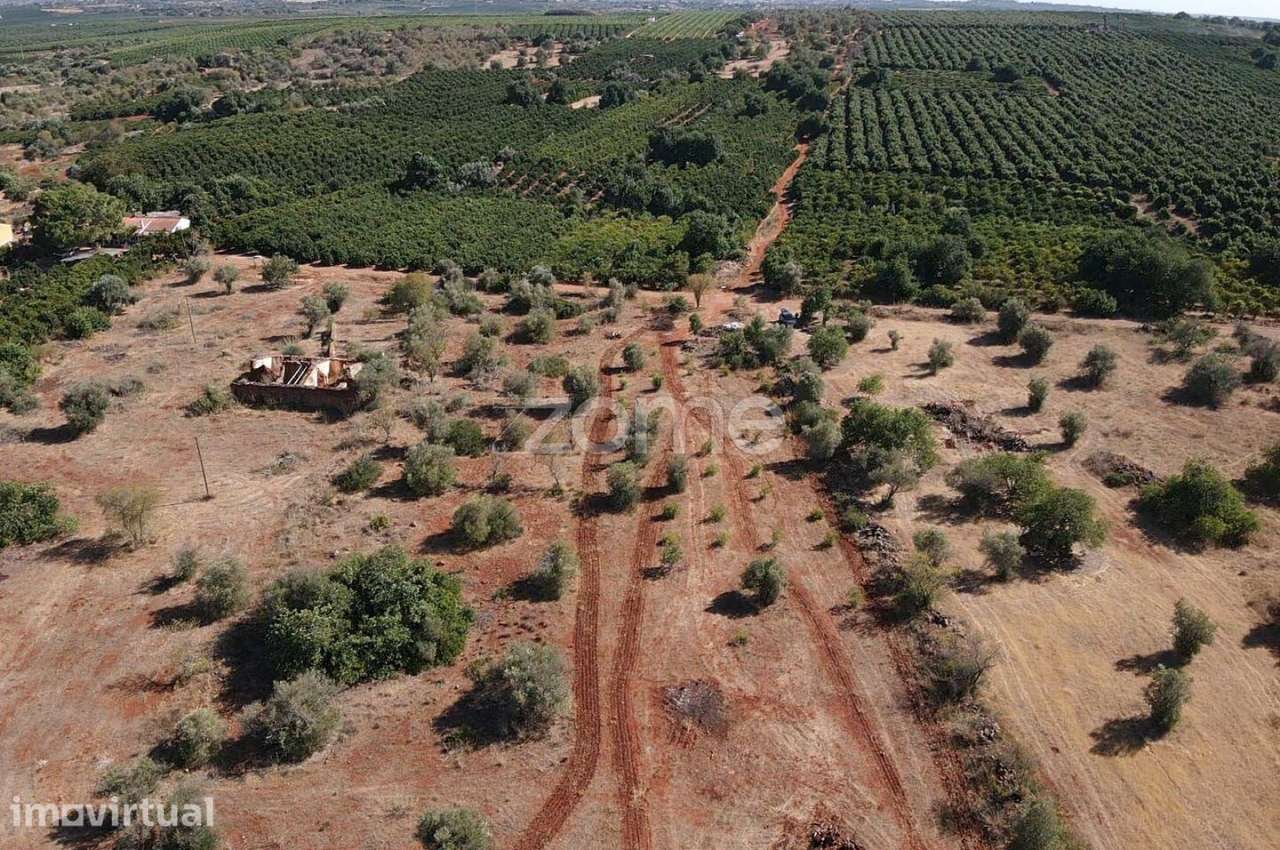 Terreno Rústico com 3.240 m2 em Carrasqueira, Messines - Grande imagem: 3/16