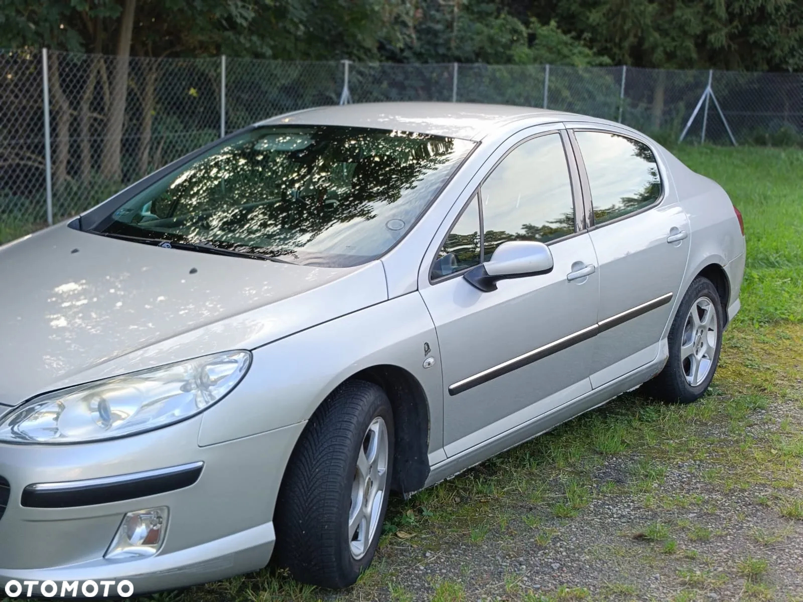 Peugeot 407 - 5