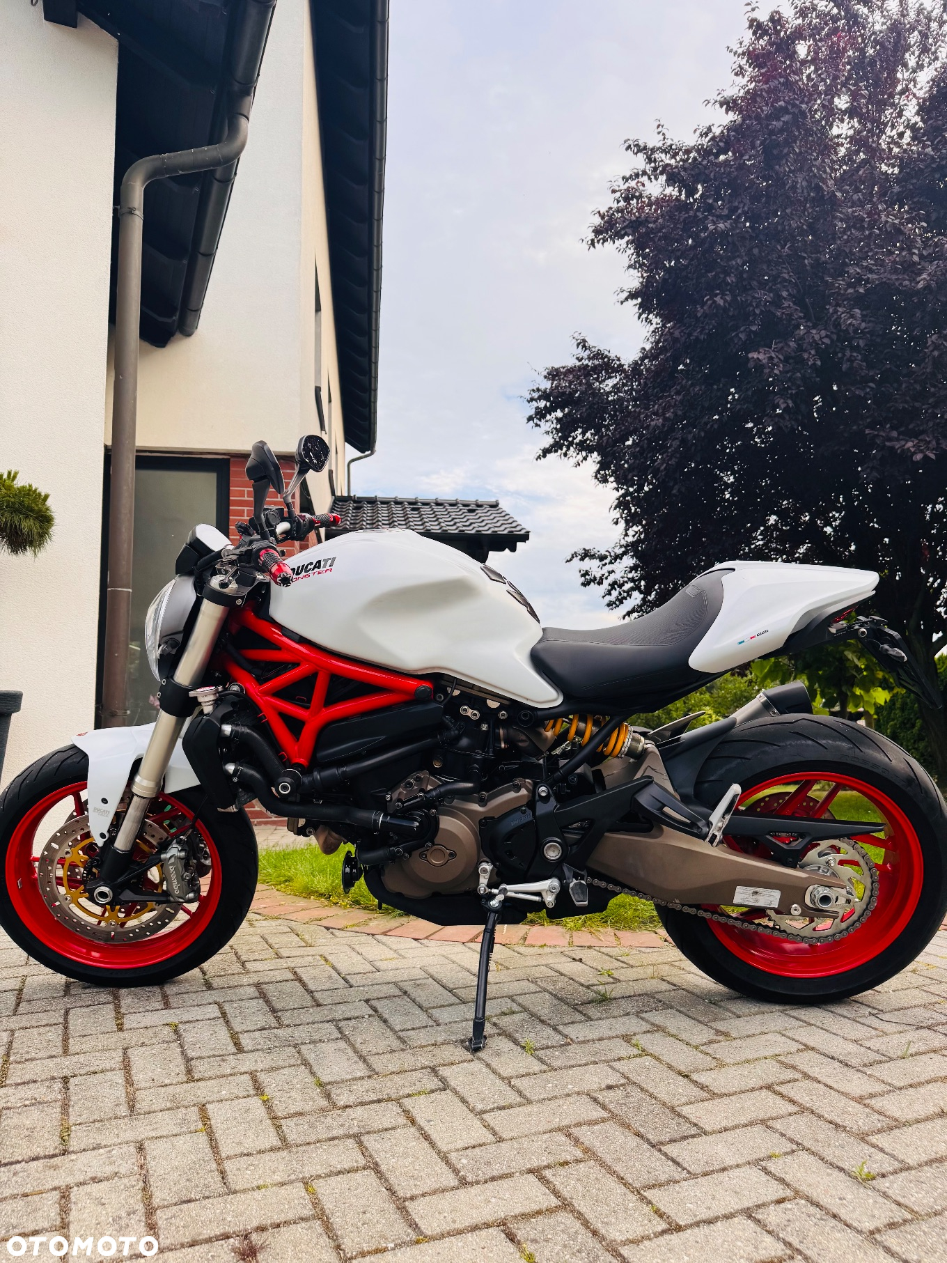 Ducati Monster - 2