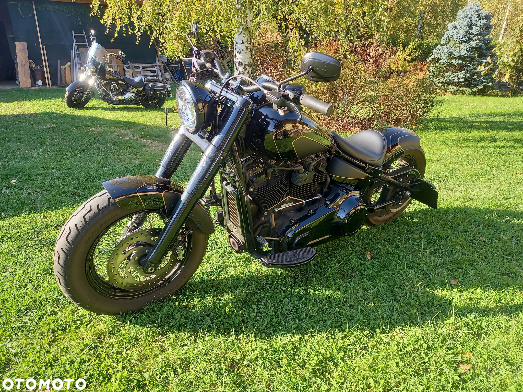 Harley-Davidson Softail Slim - 7