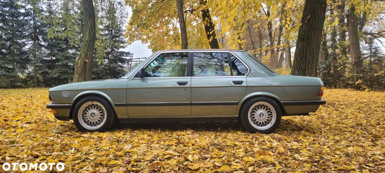 BMW Seria 5 - 3