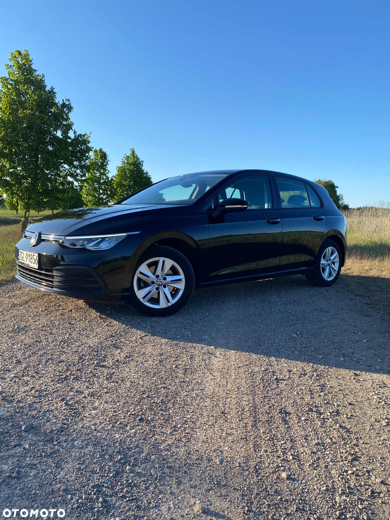 Volkswagen Golf - 12