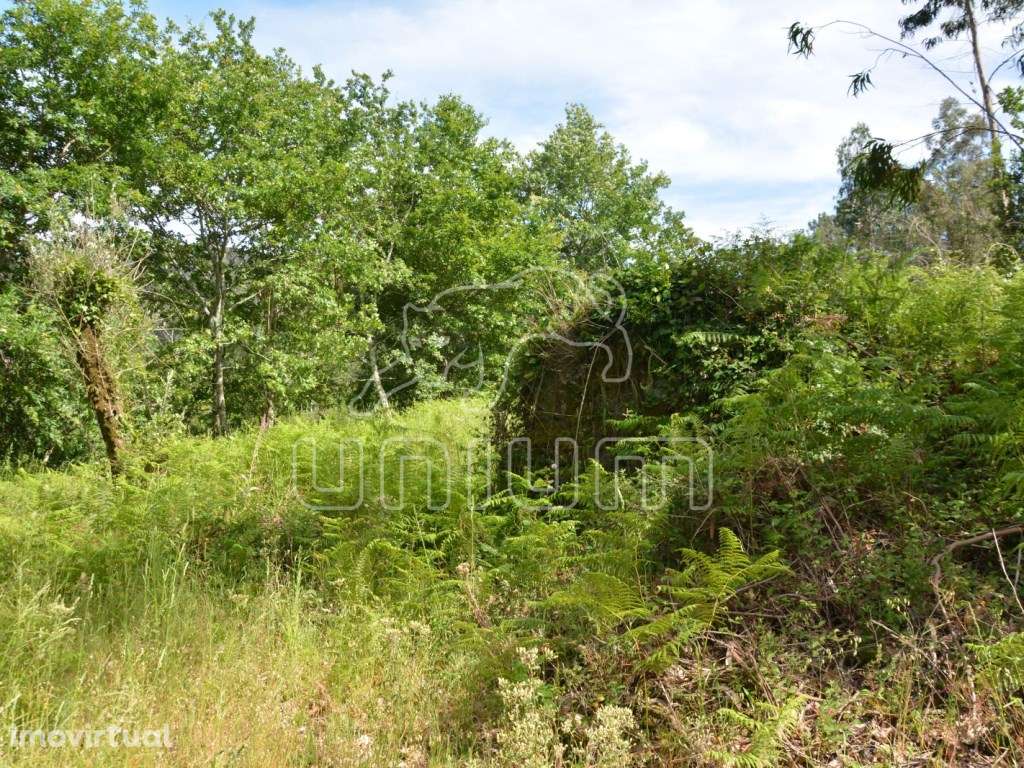 Terreno em Cazelho, Goães - Grande imagem: 3/12