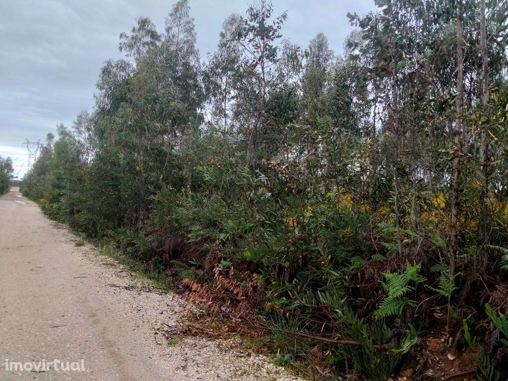 Terreno para construção de pavilhão - Zona Industrial Albergaria -a... - Grande imagem: 5/16