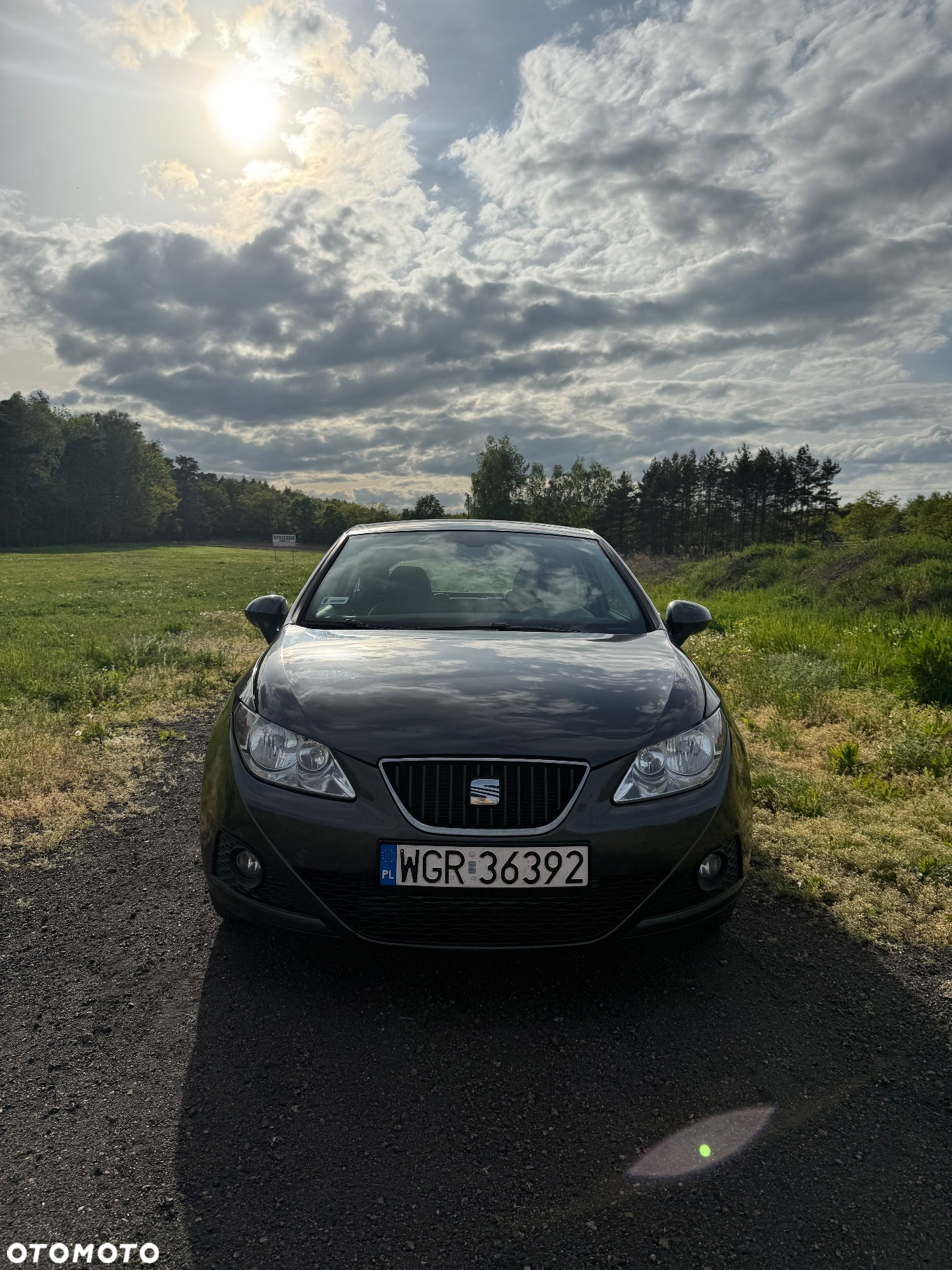 Seat Ibiza - 2