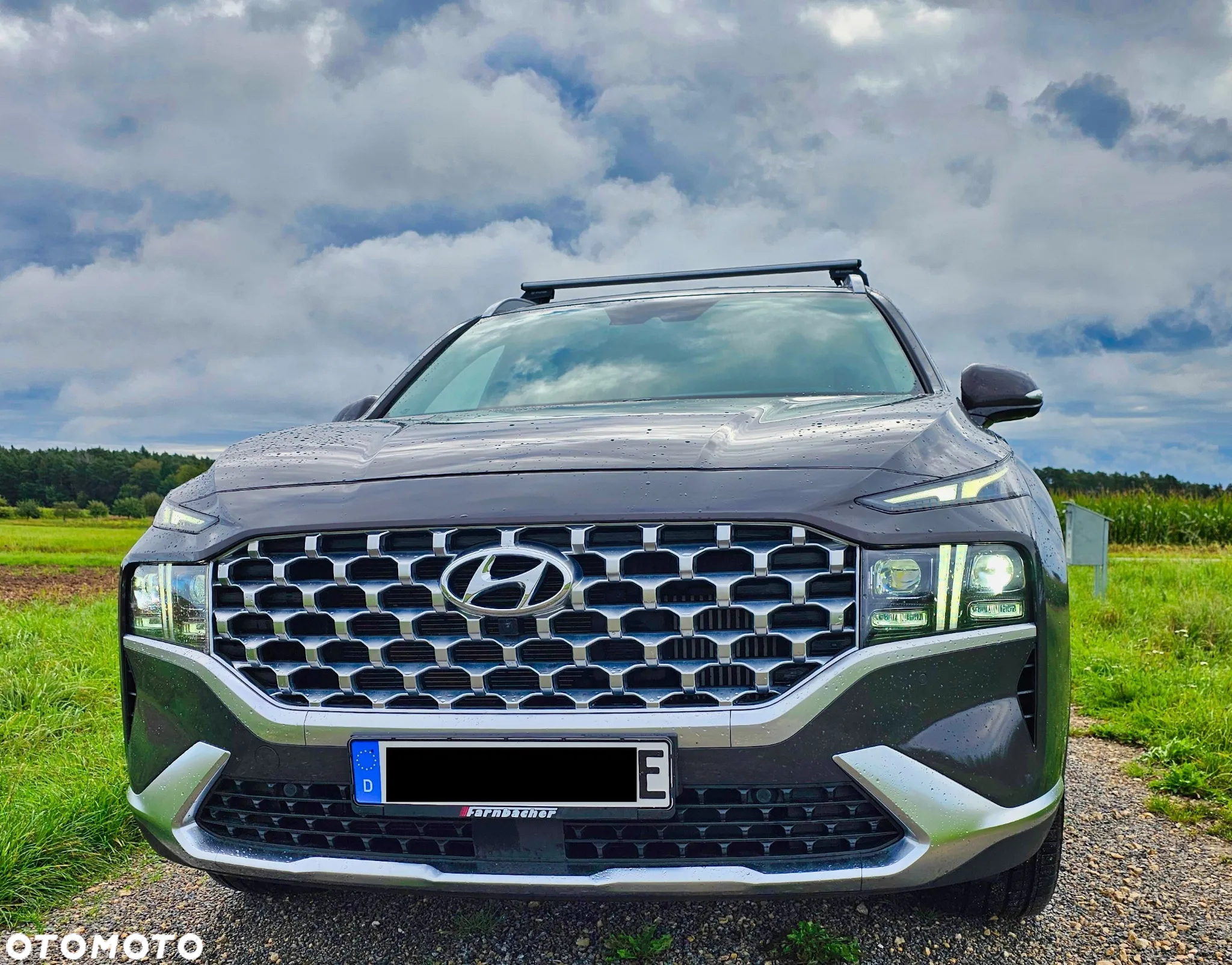 Hyundai Santa Fe 1.6 T-GDI PHEV Executive 4WD - 6