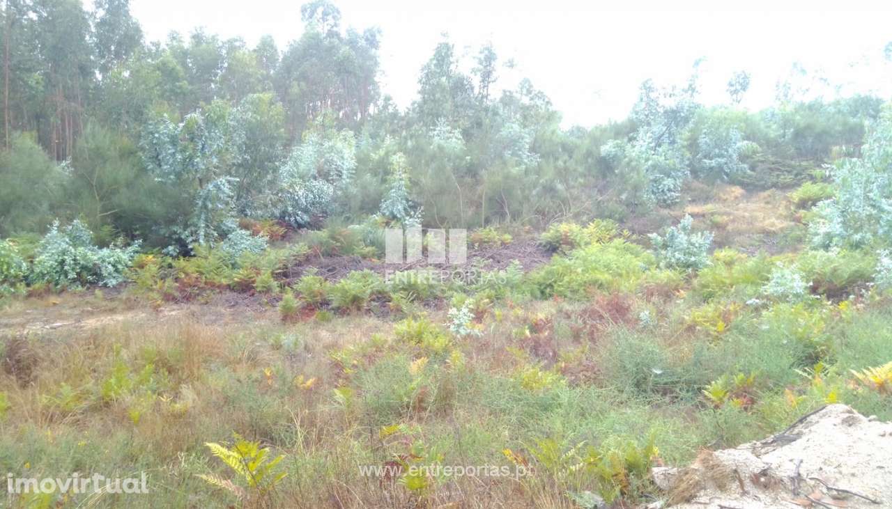 Venda Terreno com 3 hectares, Vila Boa de Quires, Marco de Canaveses - Grande imagem: 5/31