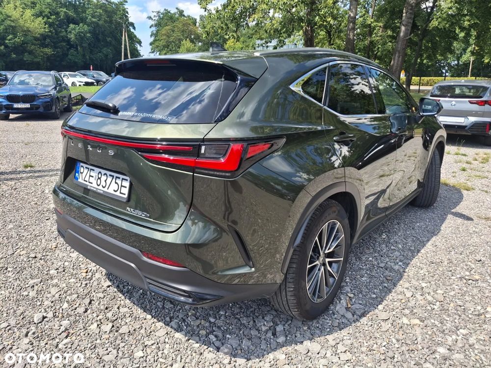 Lexus NX - 7