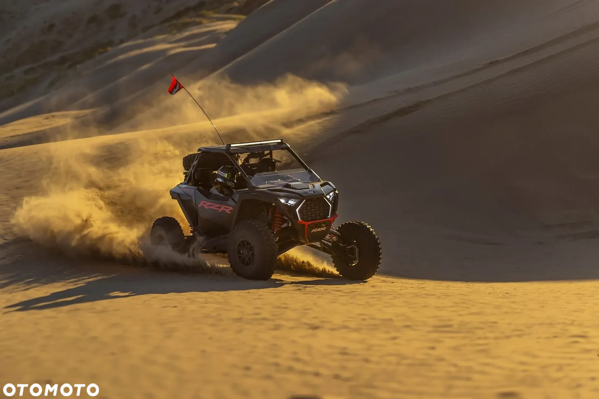 Polaris RZR - 11