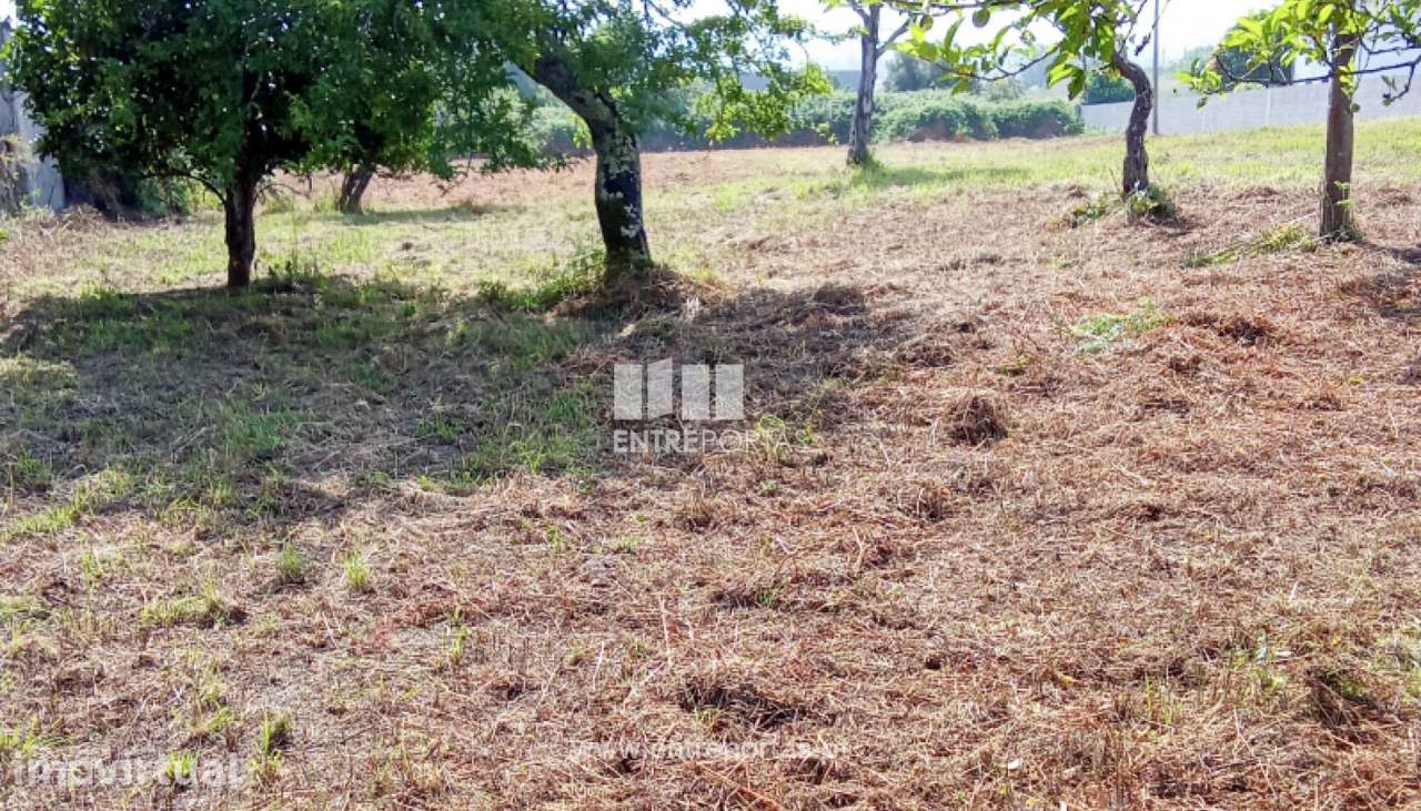 Venda de Terreno com 3844 m², Darque, Viana do Castelo - Grande imagem: 4/5