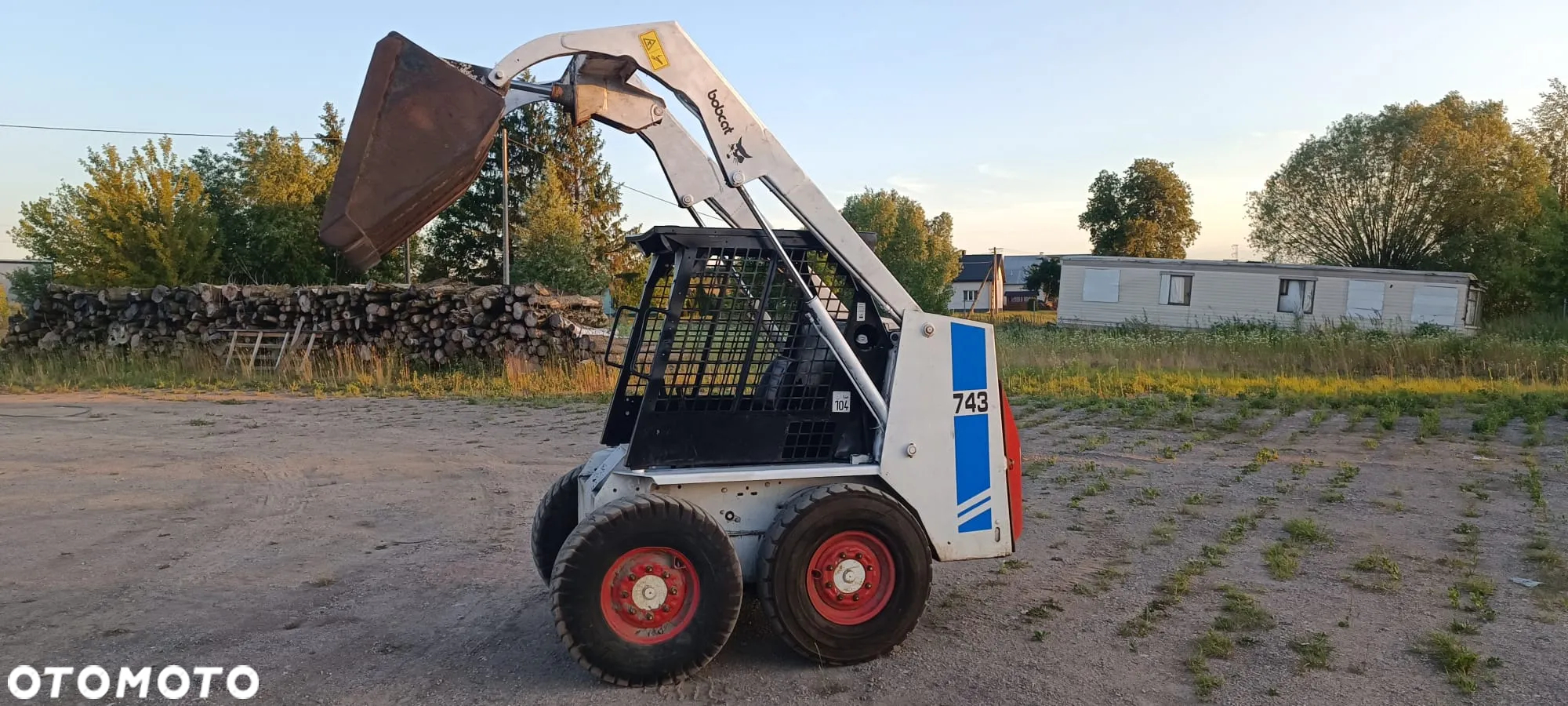 Bobcat - 4