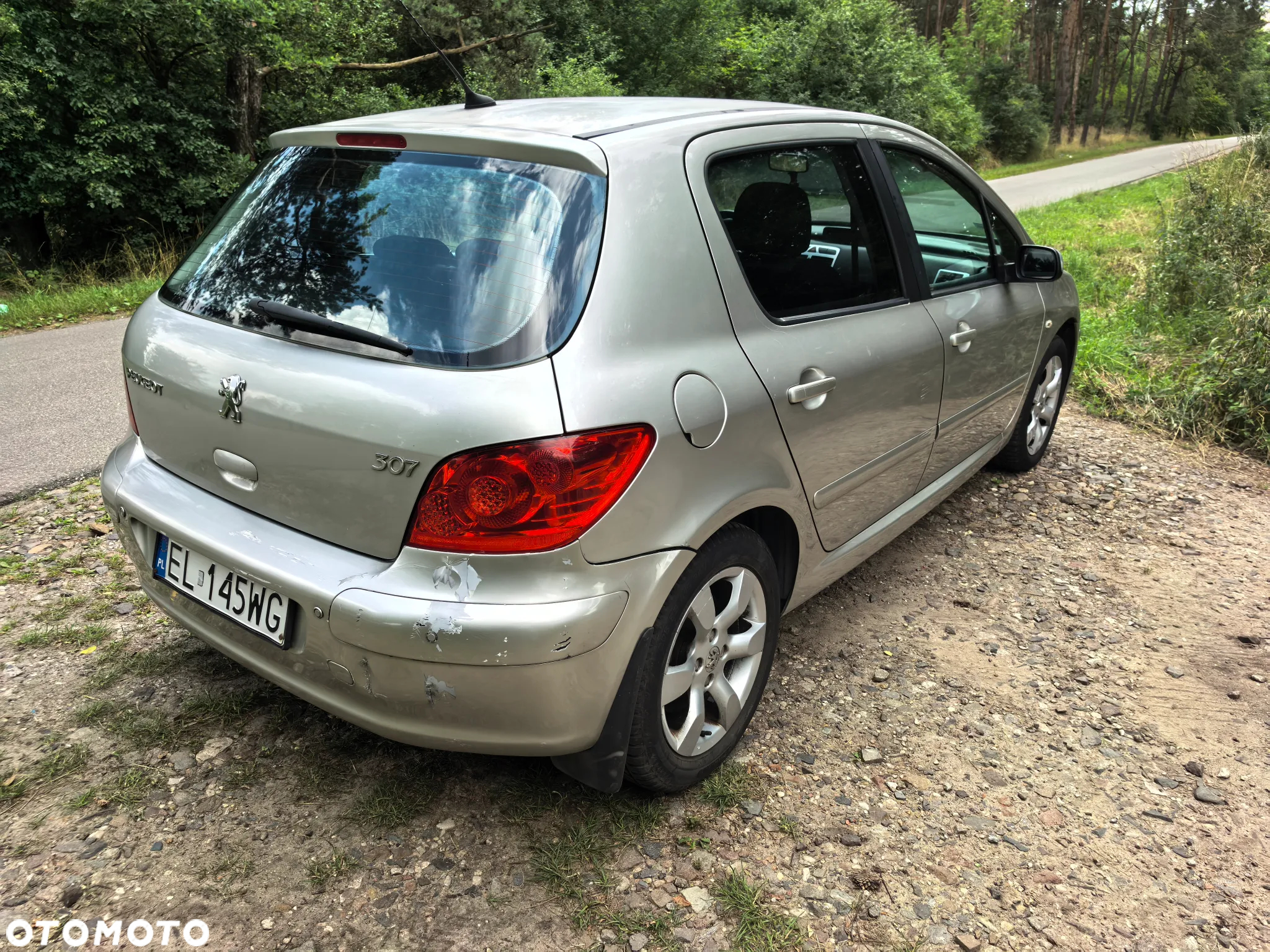 Peugeot 307 1.6 Oxygene - 18