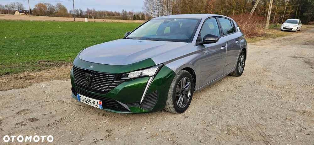 Peugeot 308 - 5
