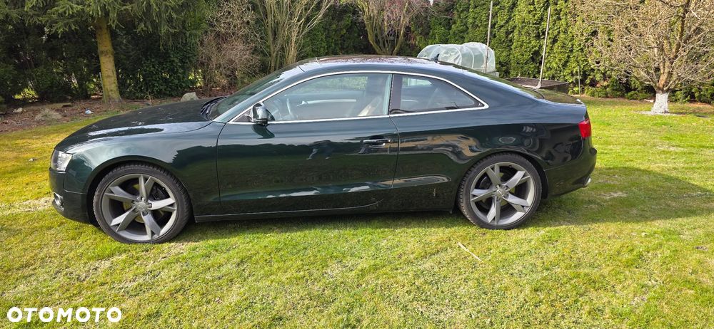 Audi A5 Coupé 3.0 TDI DPF quattro - 2