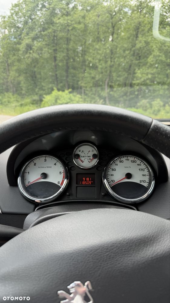Peugeot 207 - 8
