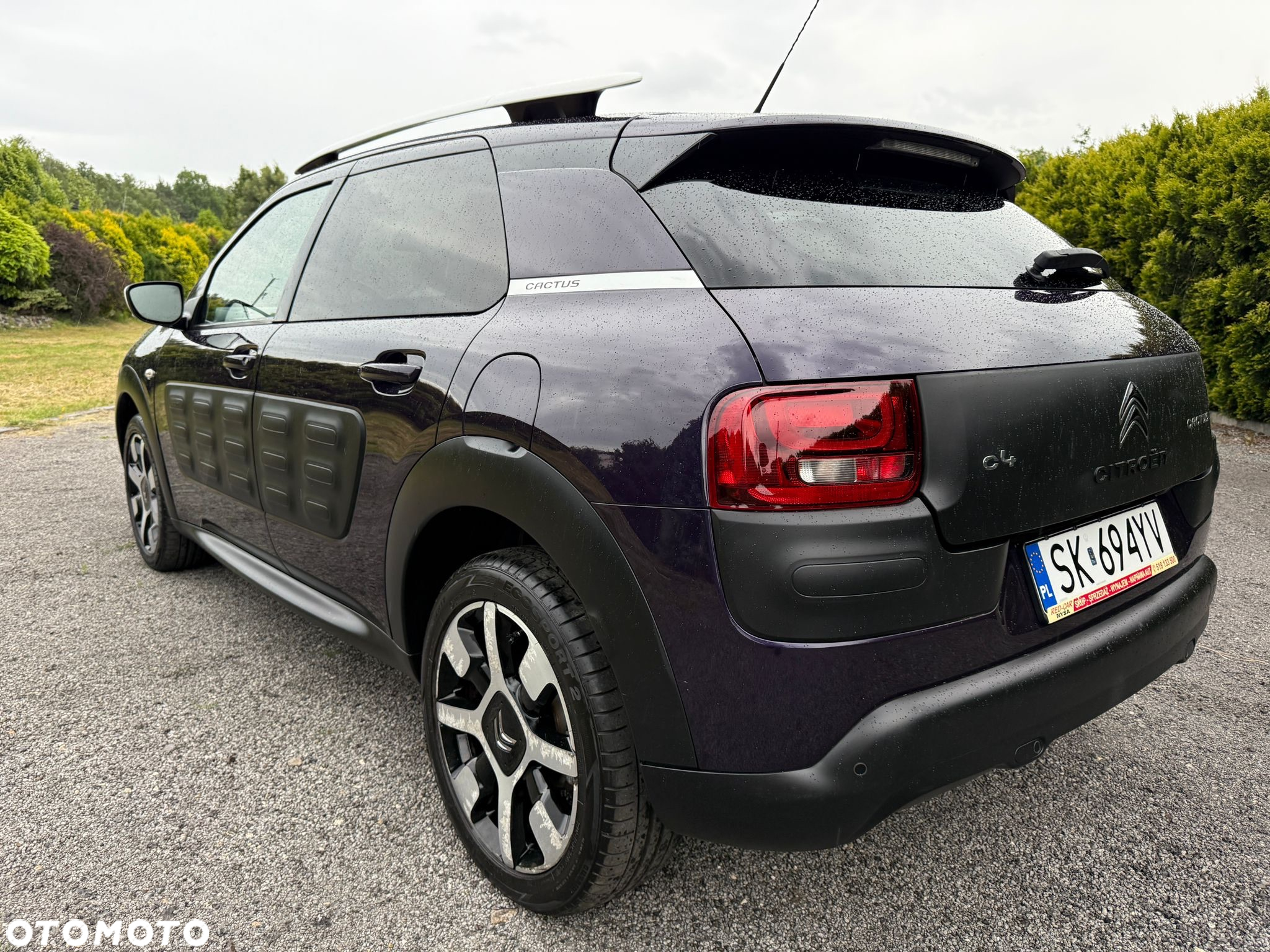 Citroën C4 Cactus 1.2 PureTech Shine S&S - 7