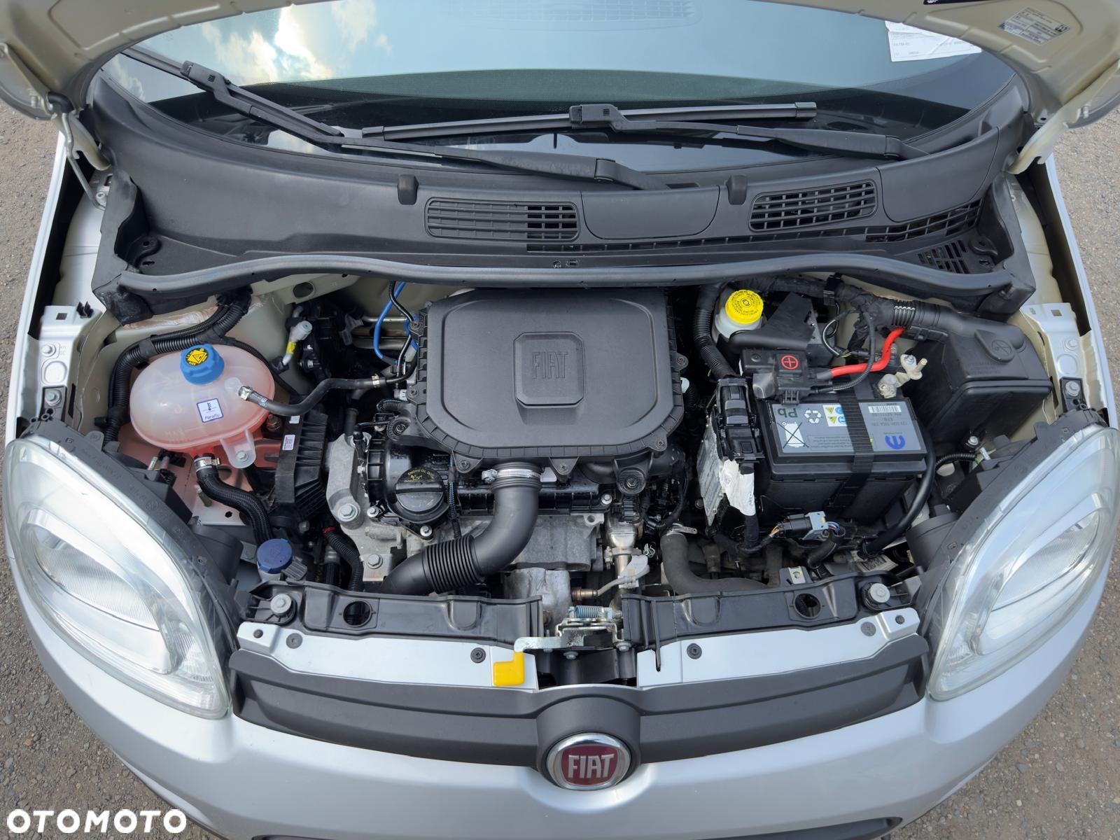 Fiat Panda 1.0 Hybrid City Cross - 15