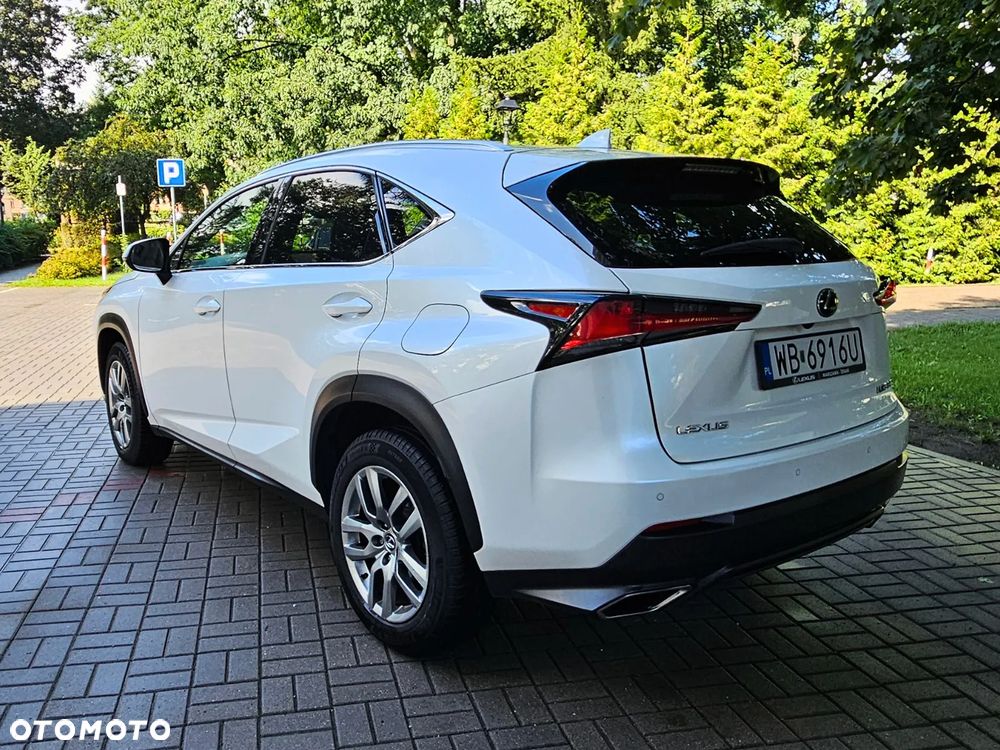 Lexus NX - 8