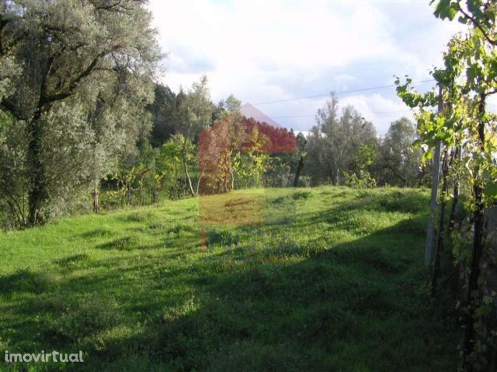 Terreno agrícola, Barros - Grande imagem: 3/8