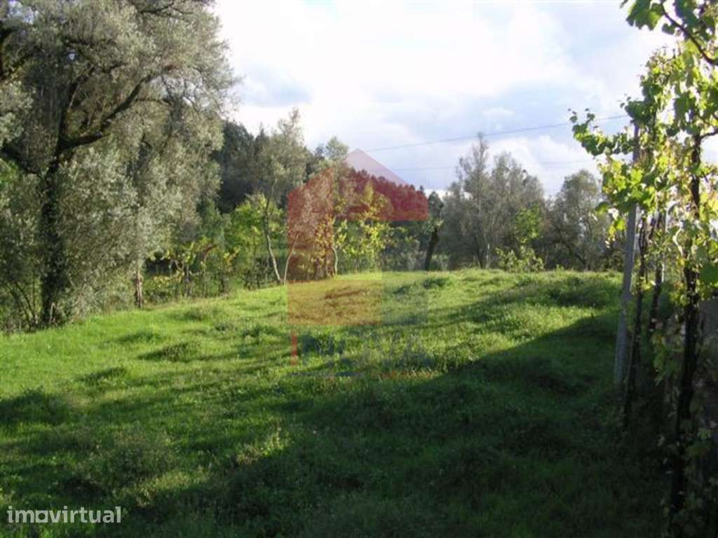 Terreno agrícola, Barros - Grande imagem: 3/8