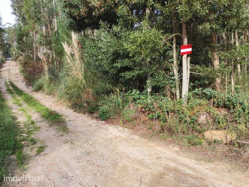 Terreno em área urbana - Grande imagem: 2/10