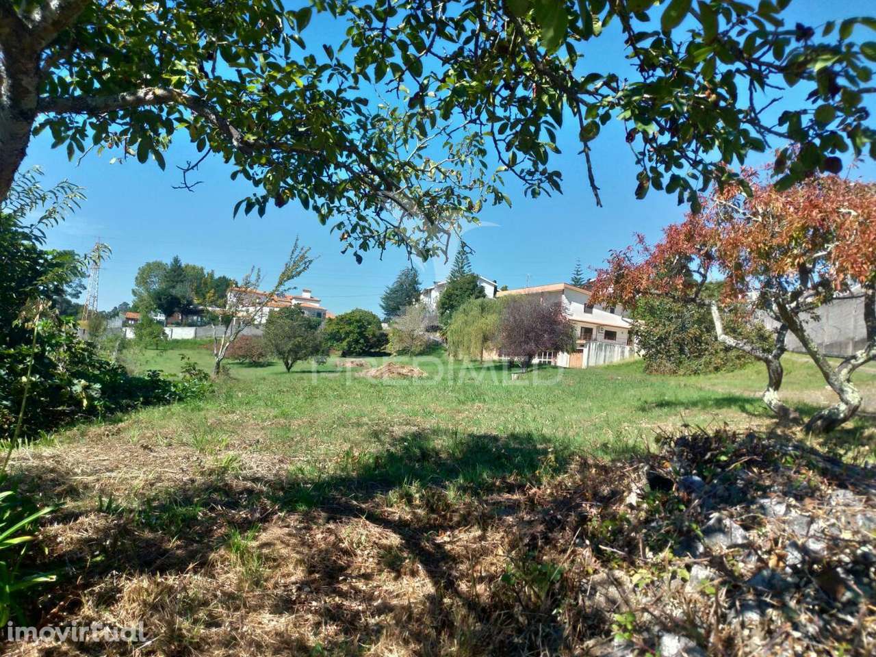 Terreno com vistas Douro (encosta do douro) - Grande imagem: 2/7