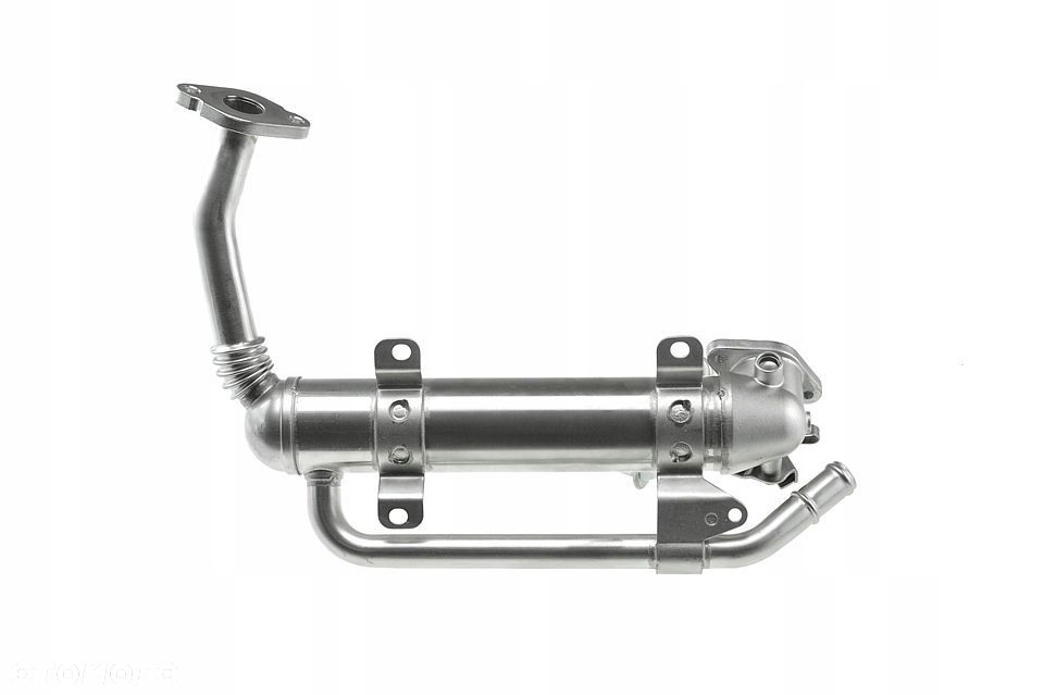 CHŁODNICA SPALIN EGR GOLF V 1.9TDi 2.0TDi 03- BSW BKD BMM BKC BLS BXE NOWA - 5