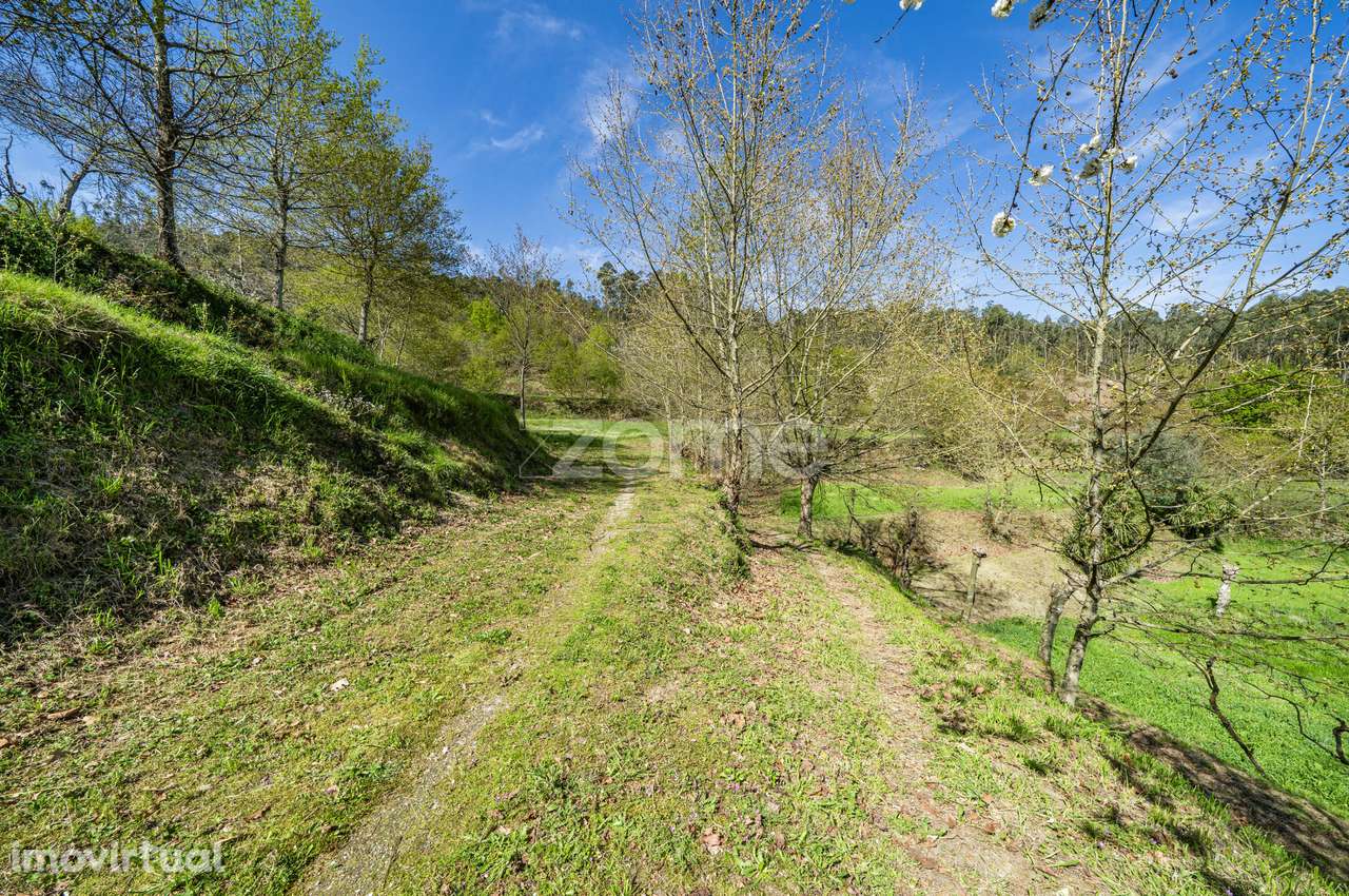 Terreno Rústico c/ 27850m² em Mesão Frio - Guimarães - Grande imagem: 5/30