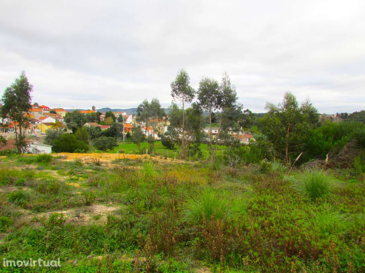 Terreno Urbanizável - 1,7ha - Torres Vedras - Ramalhal - Grande imagem: 4/7