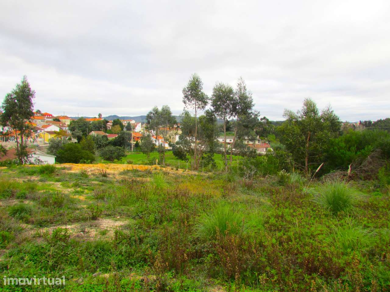 Terreno Urbanizável - 1,7ha - Torres Vedras - Ramalhal - Grande imagem: 4/7