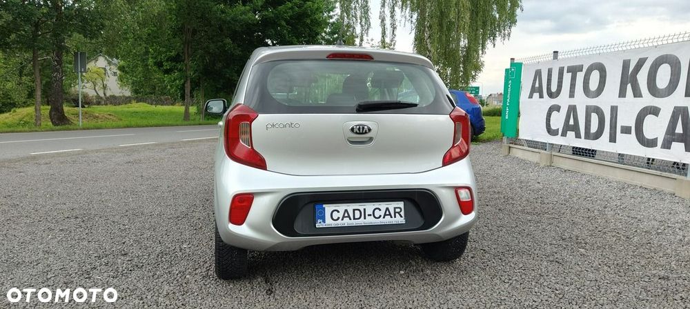 Kia Picanto 1.0 Edition 7 Drive - 5