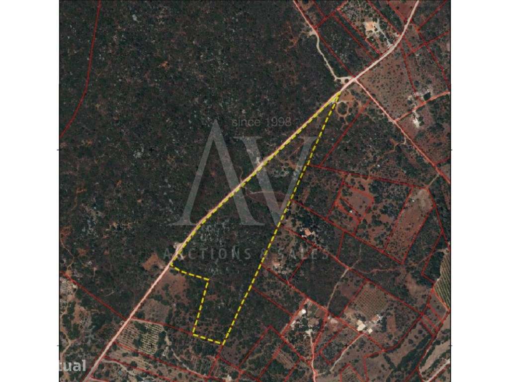 Terreno Rustico 49.880 m2, em Olhão - Grande imagem: 2/11
