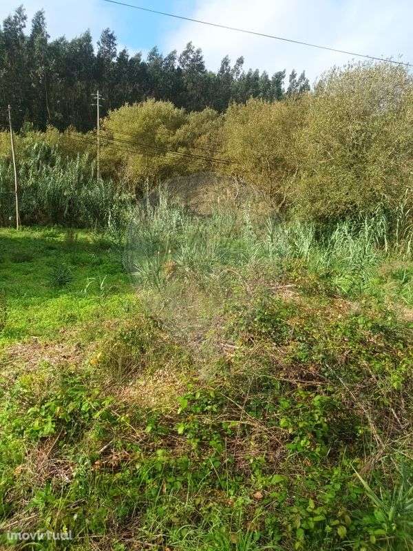 Terreno  para venda - Grande imagem: 3/6