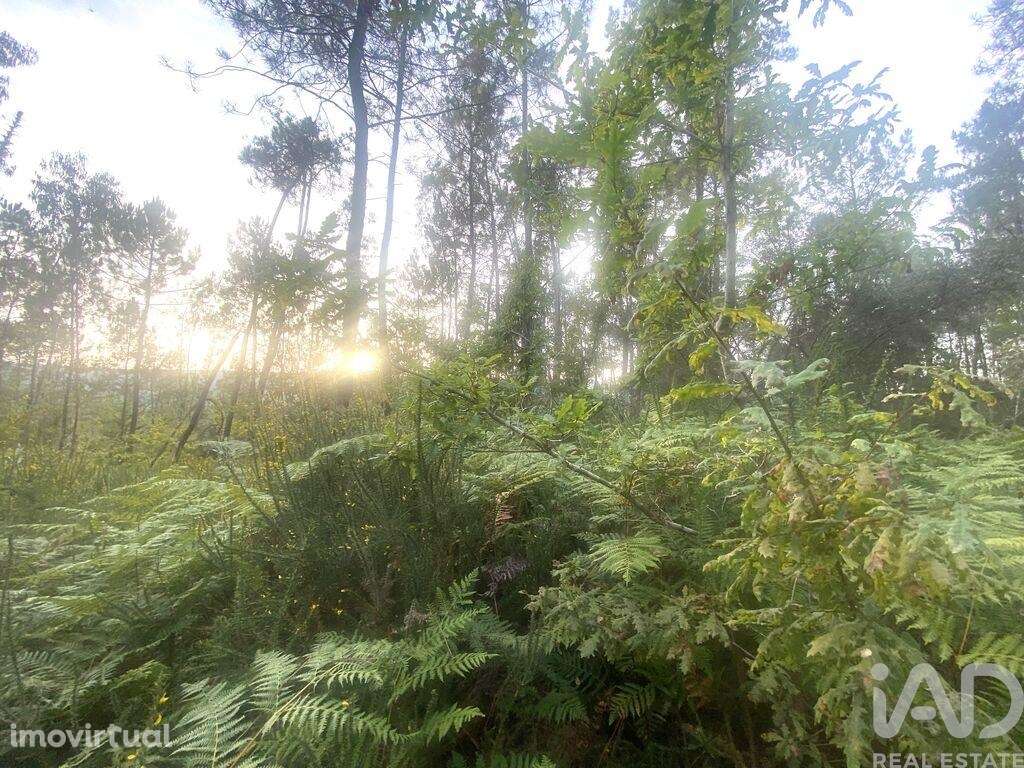 Terreno Agrícola em Sapardos de 660,00 m2 - Grande imagem: 5/7