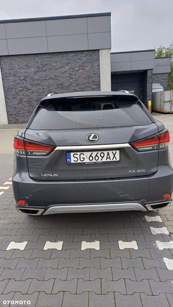 Lexus RX 300 Business Edition + - 15