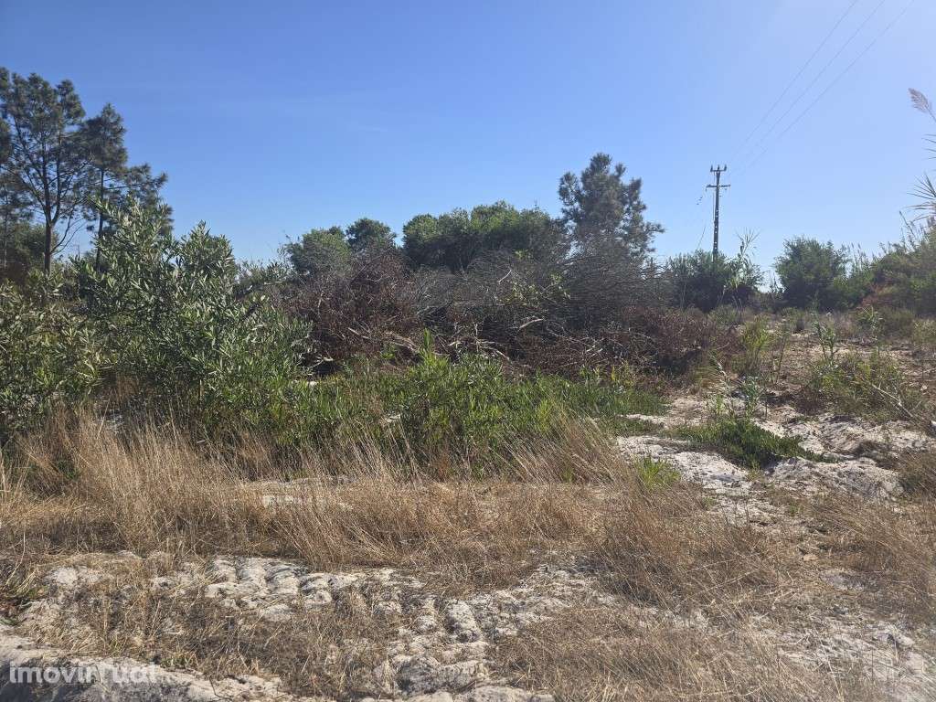 Terreno Rústico - Grande imagem: 5/5