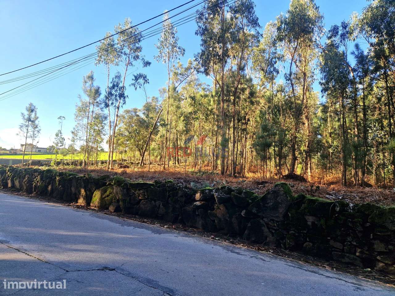 TERRENO PARA CONSTRUÇÃO, NEGREIROS, BARCELOS - Grande imagem: 3/12