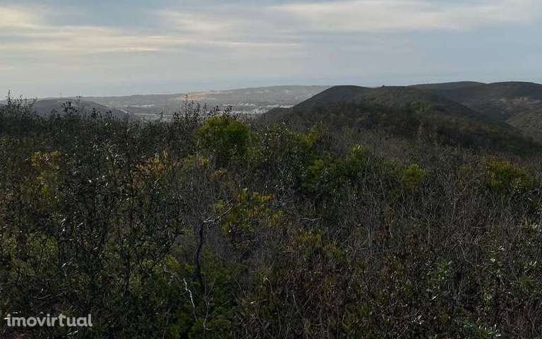 Terreno rústico Carrapateira - Grande imagem: 2/6