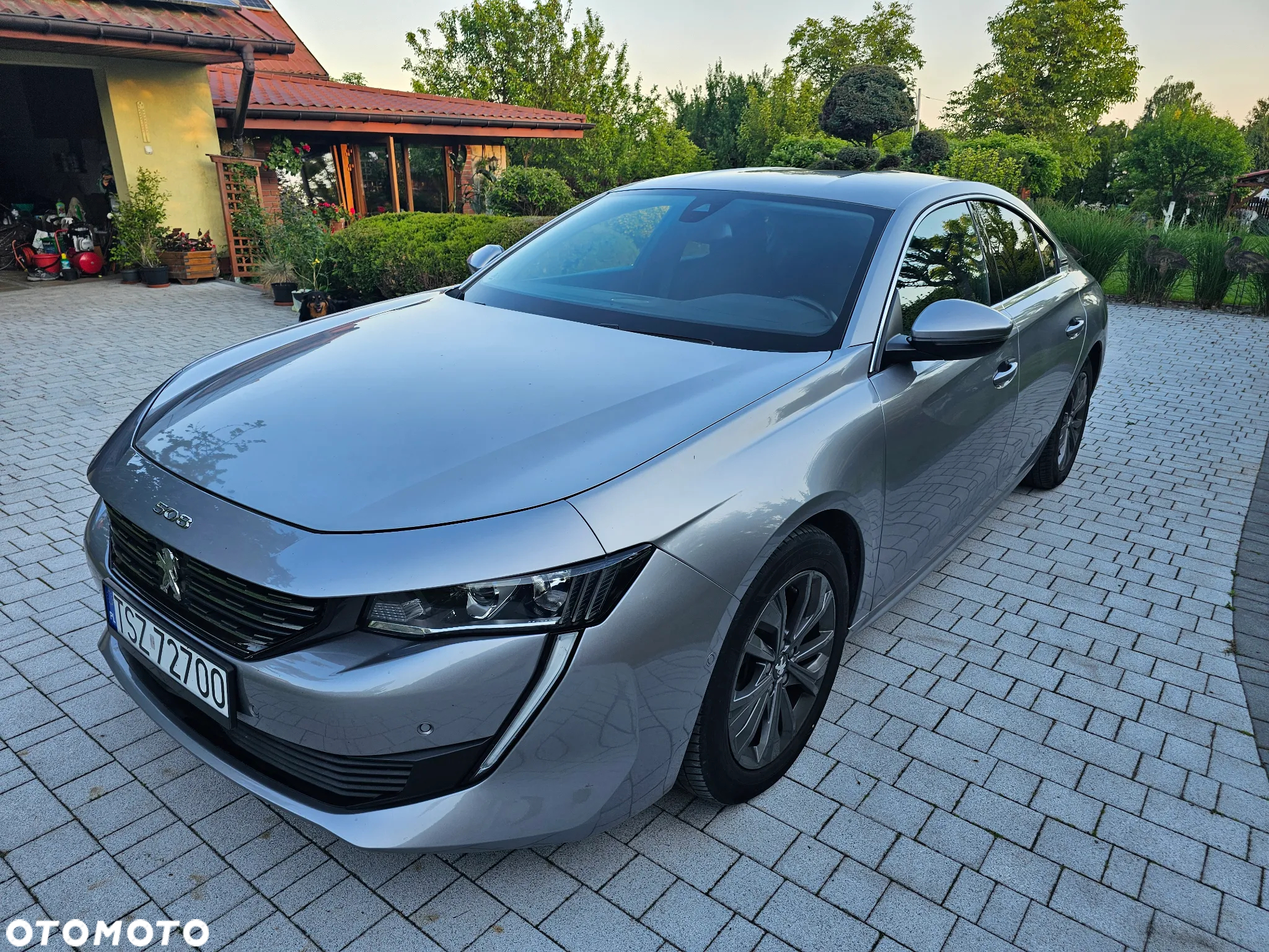 Peugeot 508 1.5 BlueHDi Allure S&S EAT8 - 5