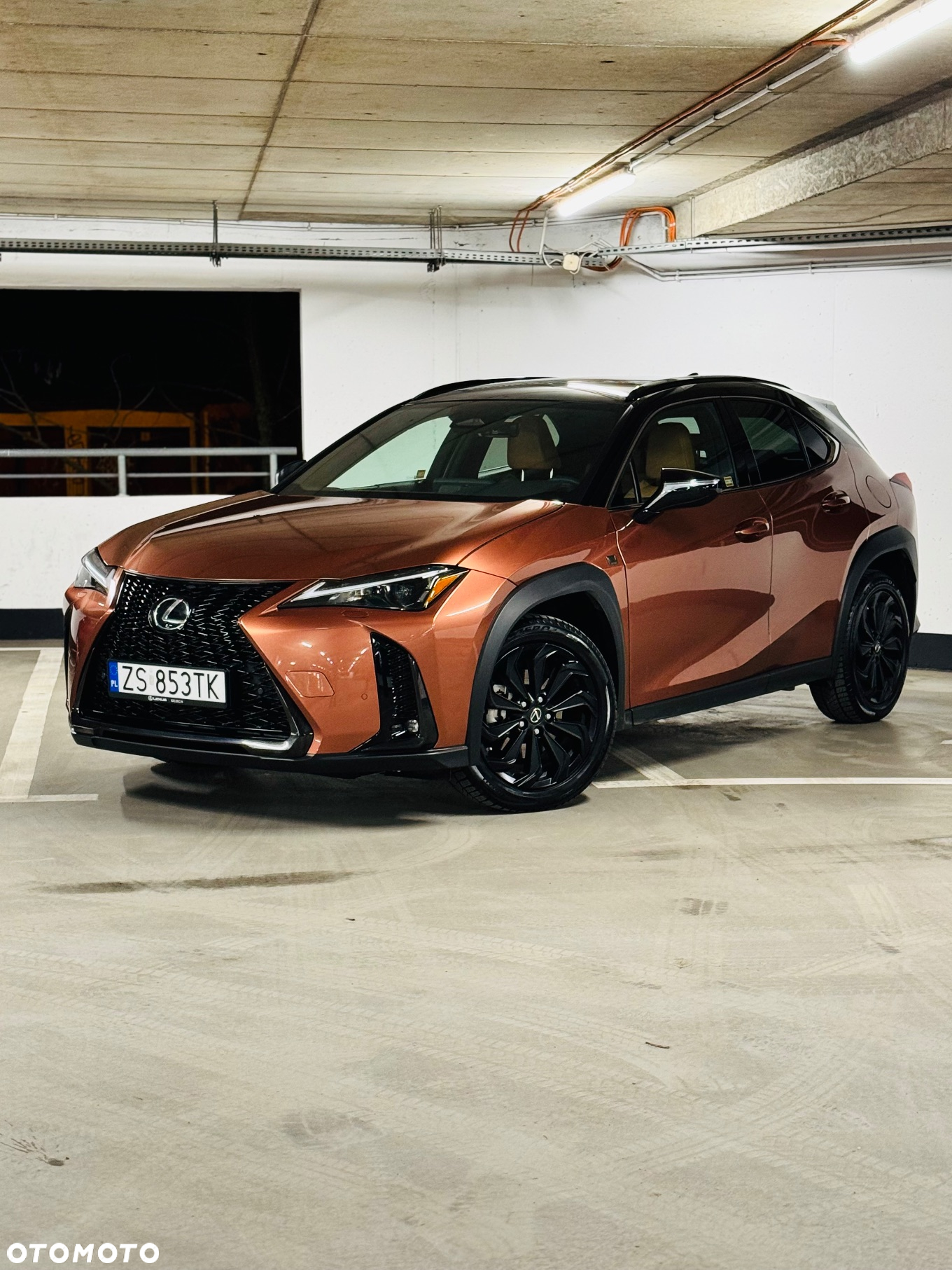 Lexus UX - 5