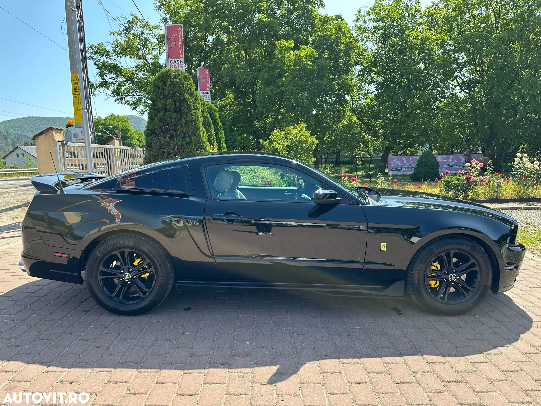 Ford Mustang - 13