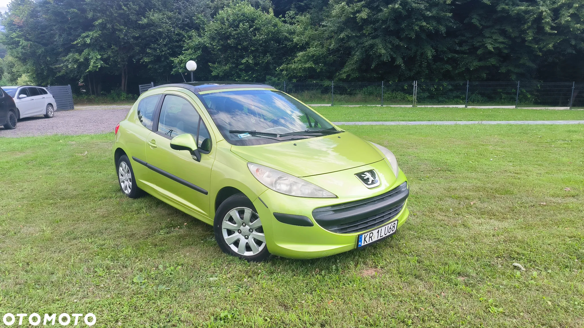 Peugeot 207 - 4