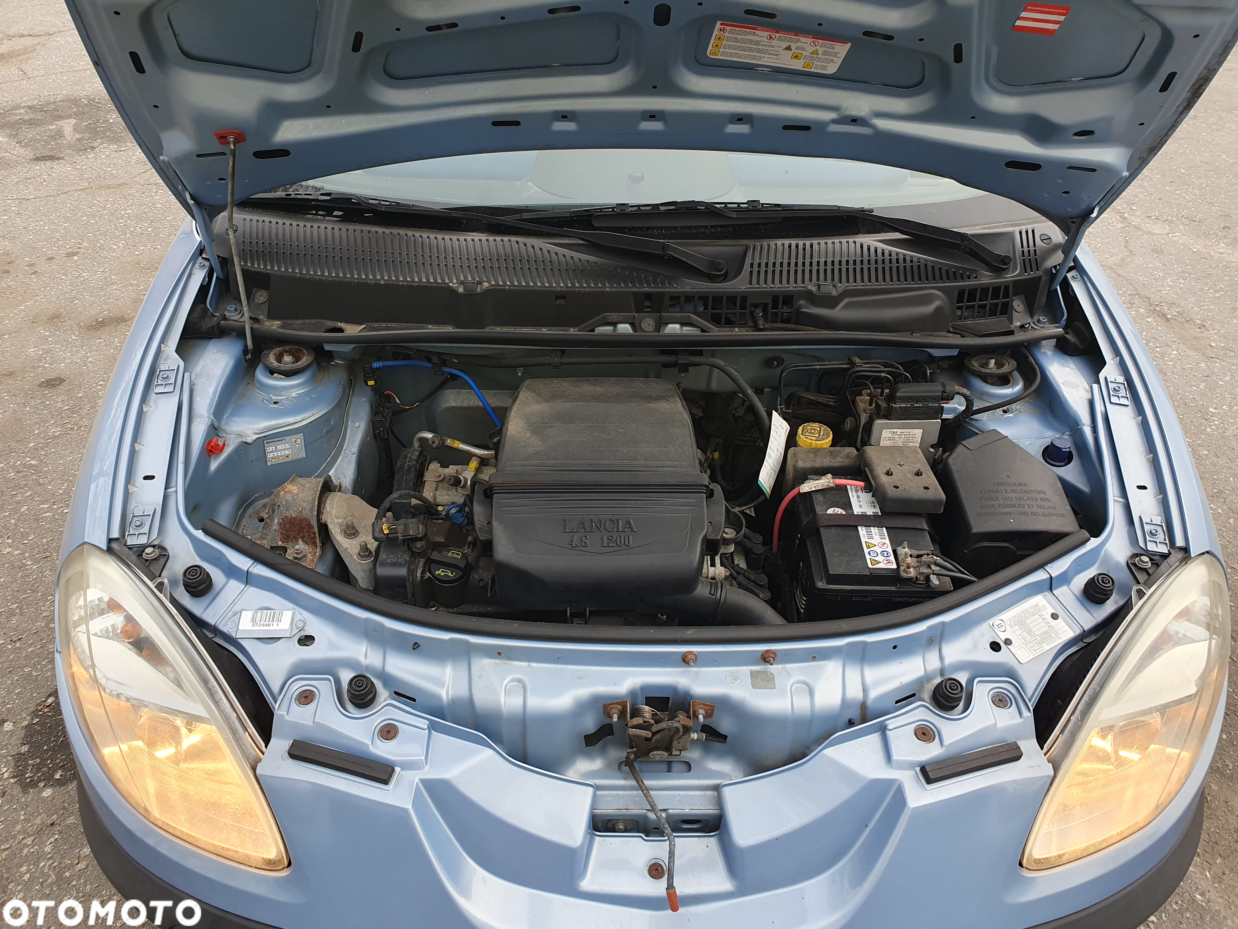 Lancia Ypsilon 1.2 8V Argento (4 os.) - 15