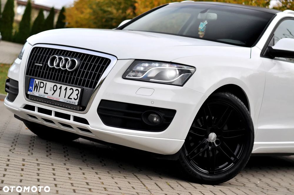 Audi Q5 2010 photo 2
