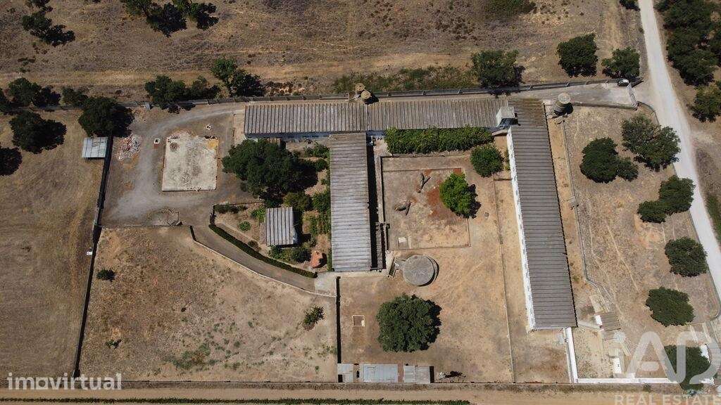 Terreno em Quinta do Anjo - Grande imagem: 2/16