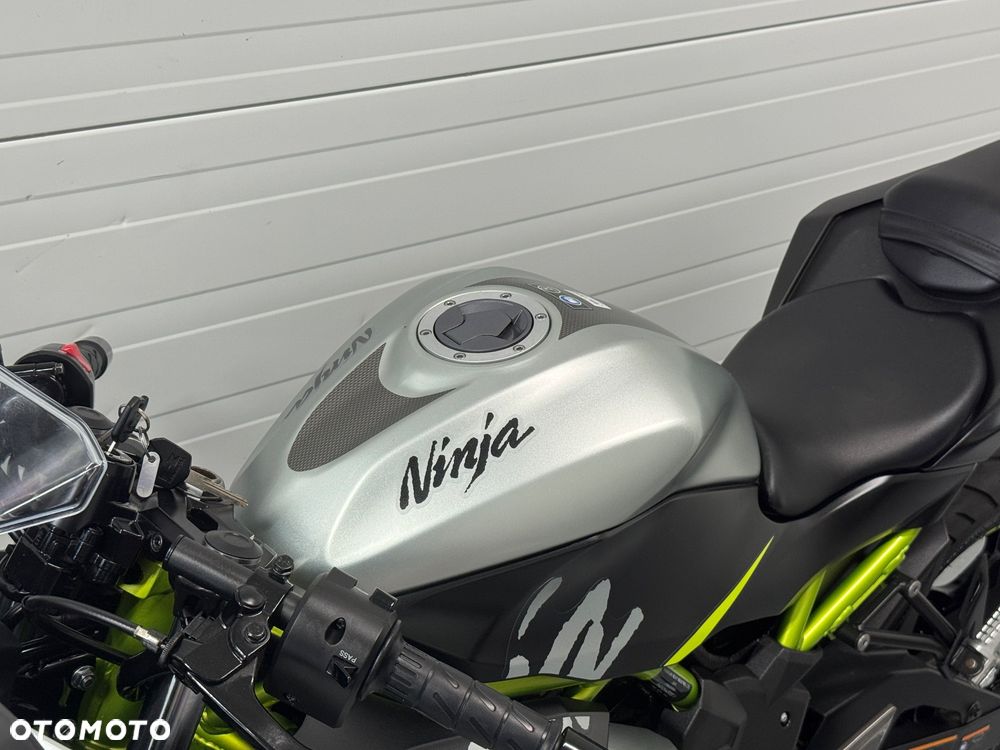 Kawasaki Ninja - 24