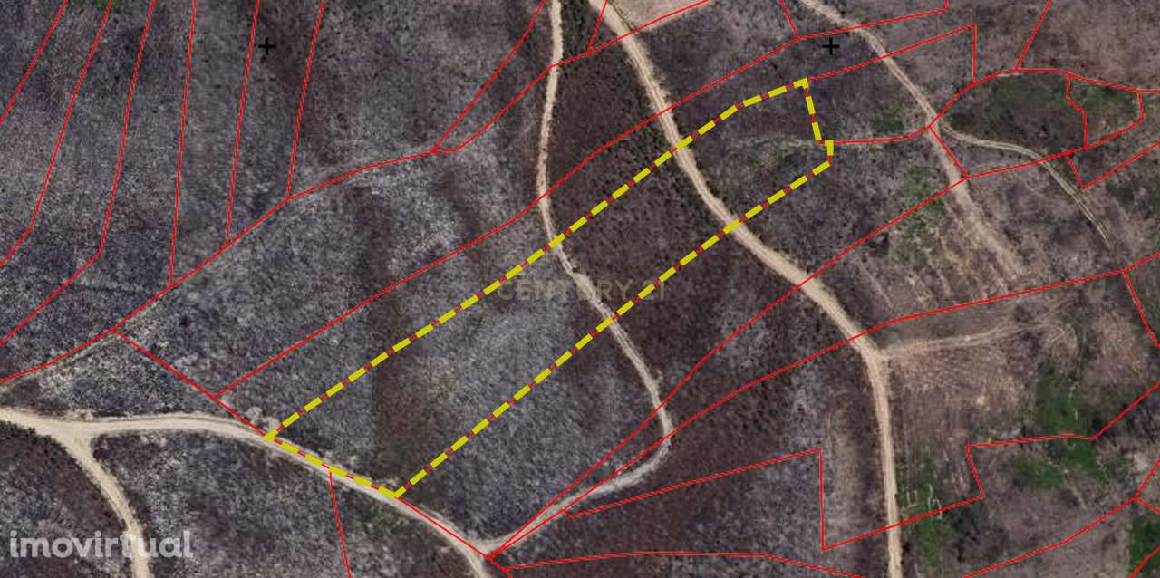 Terreno rústico com 7.640 m², Mação - Grande imagem: 2/4