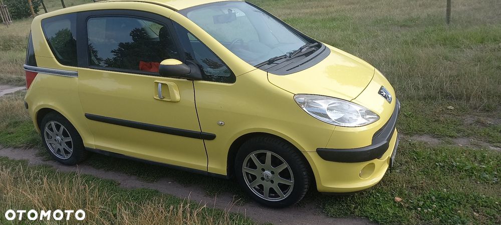 Peugeot 1007 - 8