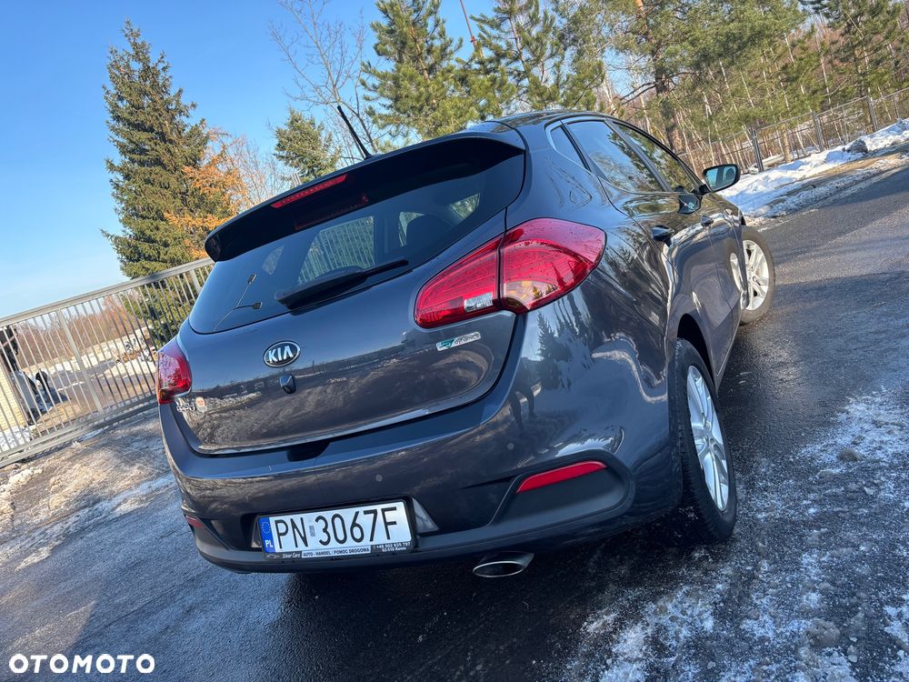 Kia Ceed 1.6 CRDi 128 Dream Team Edition - 5